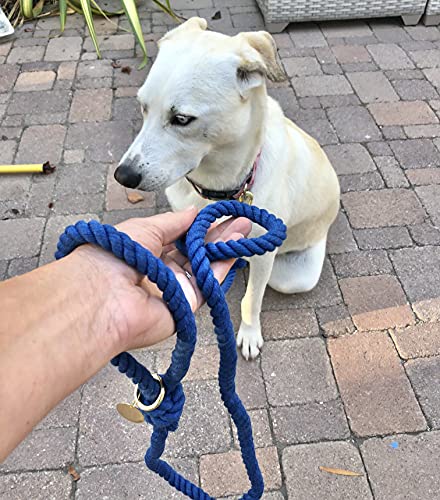 Blue Boho Chic Ombre Rope Leash - Glow Pups