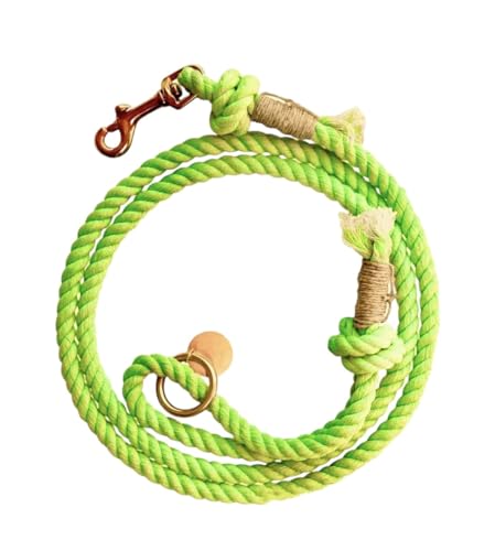 Lime Green Boho Chic Dog Leash - Glow Pups