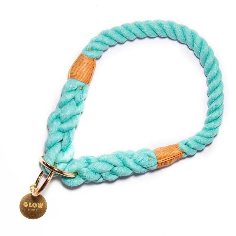 Turquoise Stylish Rope Slip Collar - Glow Pups
