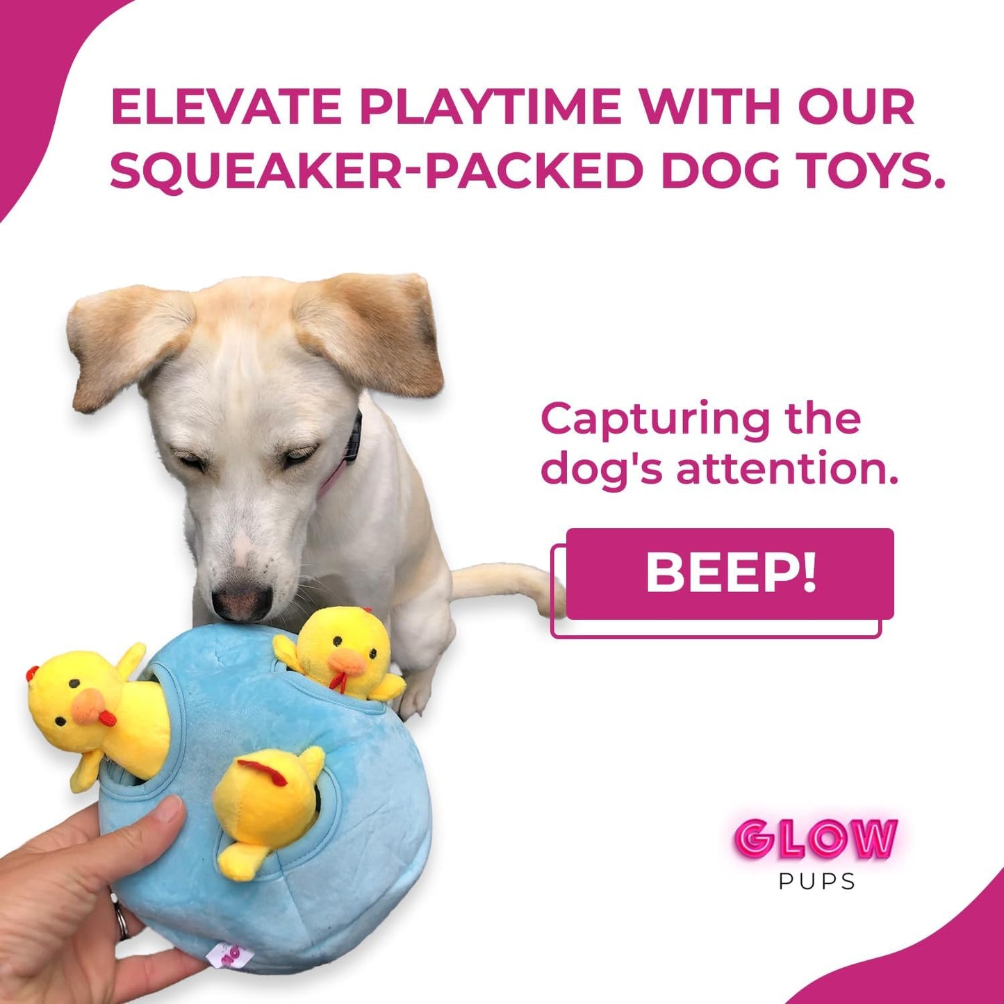 Burrow Chicken in Egg Dog Toys