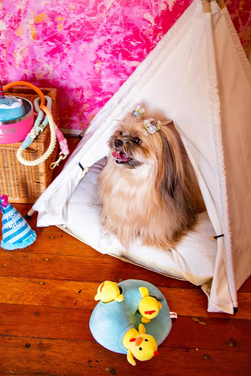 Burrow Chicken in Egg Hide and Seek Dog Toy - Glow Pups