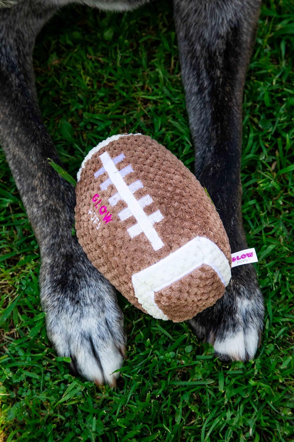 Squeaky Football Dog Toy - Glow Pups