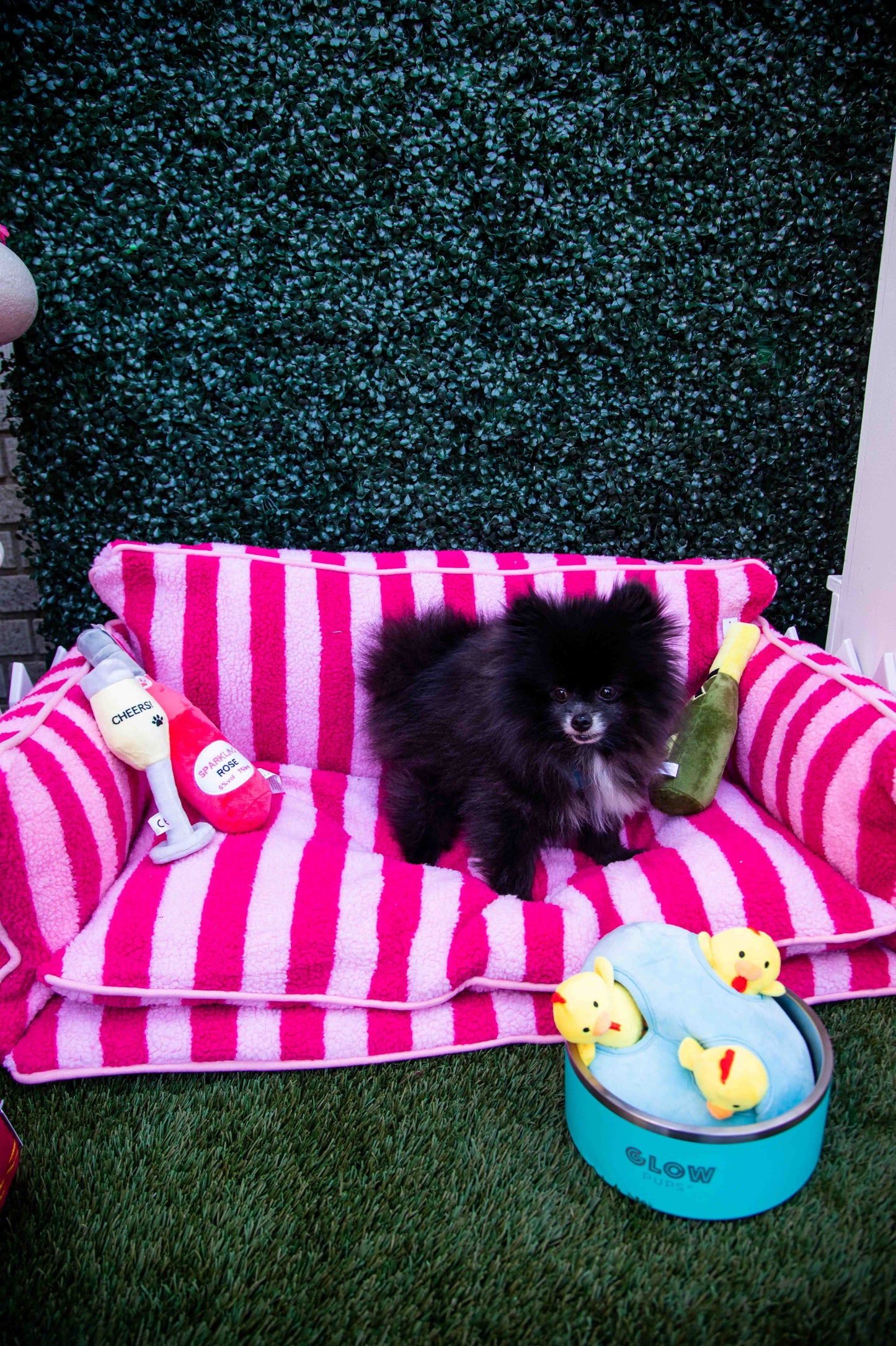 Pretty Pink Striped Dog Bed - Glow Pups