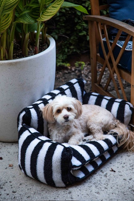 Chic Comfort Black and White Striped Sofa Dog Bed - Glow Pups