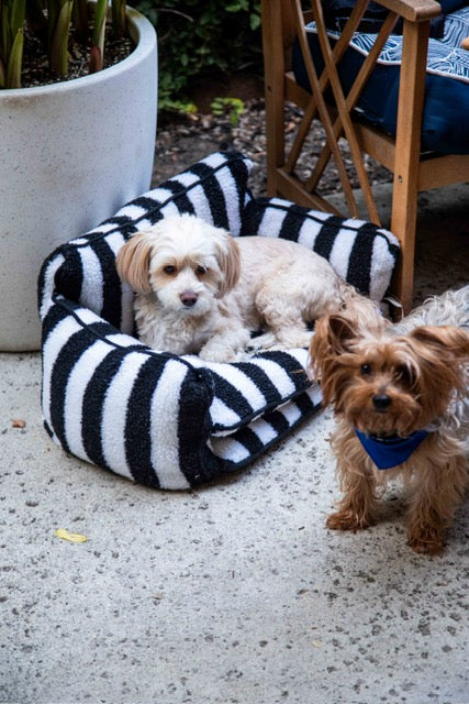 Chic Comfort Black and White Striped Sofa Dog Bed - Glow Pups