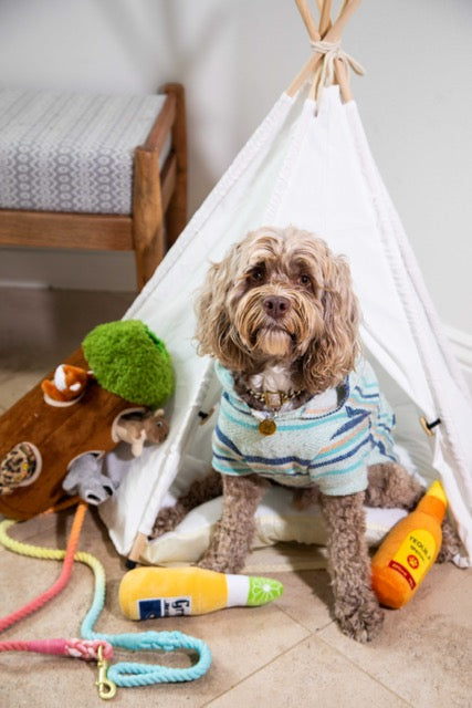 Pawty Pups Tequila Plush Dog Toy - Glow Pups