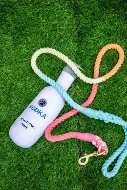 Rainbow Tie Dye Leash - Glow Pups