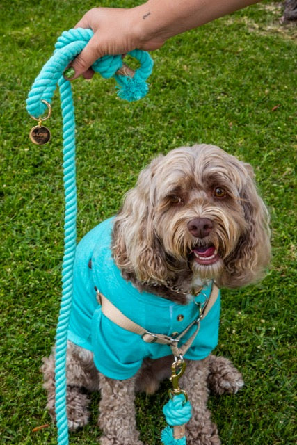 Turquoise Boho Chic Style Leash - Glow Pups