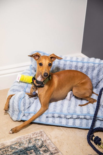 Luxury Light Blue Striped Sofa Dog Bed - Glow Pups