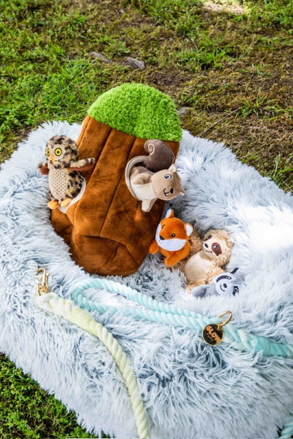 Sunshine Waves Tie Dye Leash - Glow Pups