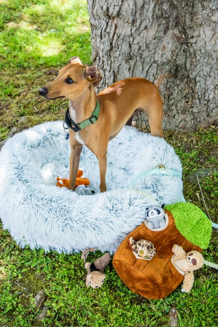 Calming Faux Fur Dog Bed with Memory Foam Bolster - Glow Pups