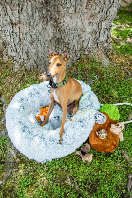 Calming Faux Fur Dog Bed with Memory Foam Bolster - Glow Pups
