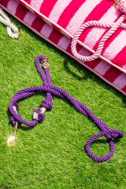 Purple Boho Chic Style Leash - Glow Pups