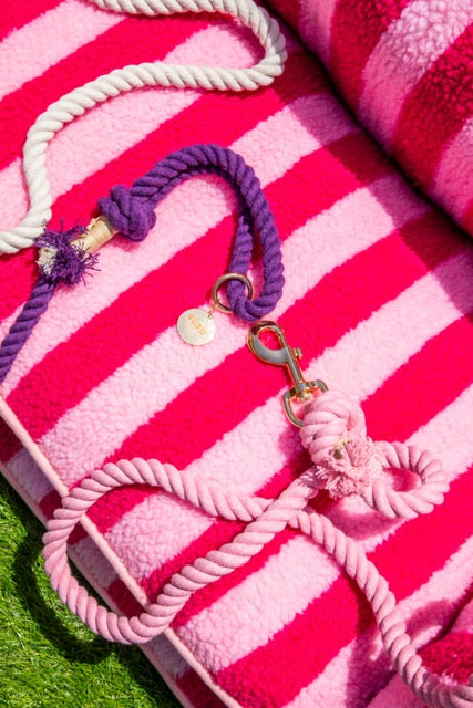 Pretty Pink Striped Dog Bed - Glow Pups