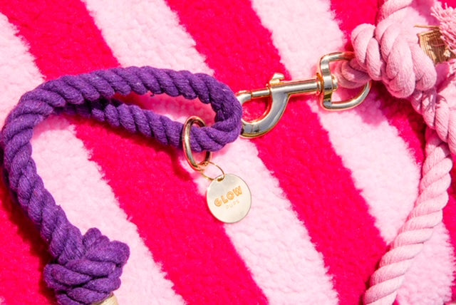 Purple Boho Chic Style Leash - Glow Pups