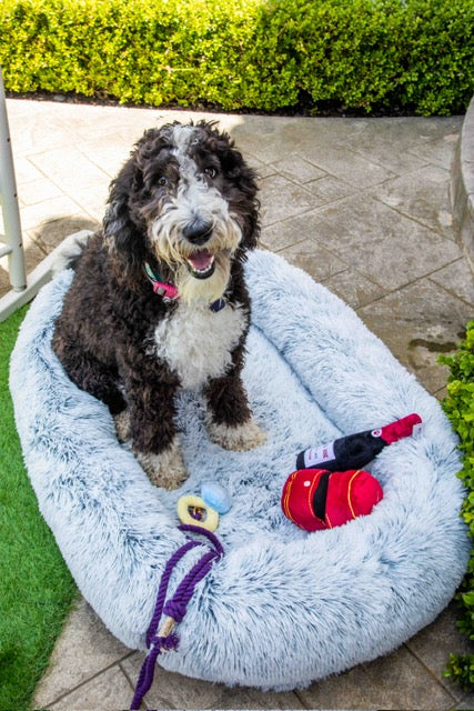 Calming Faux Fur Dog Bed with Memory Foam Bolster - Glow Pups