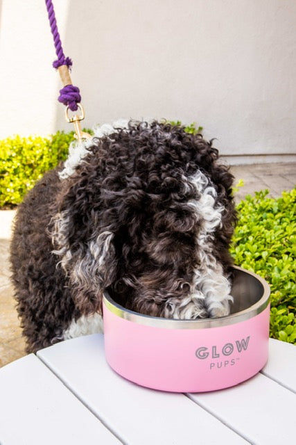Light Pink Stainless Steel Dog Bowl - 32oz & 64oz - Glow Pups