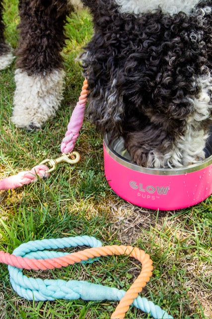 Rainbow Tie Dye Leash - Glow Pups