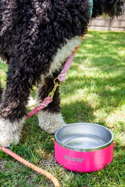 Bright Pink Stainless Steel Dog Bowl - 32oz & 64oz - Glow Pups