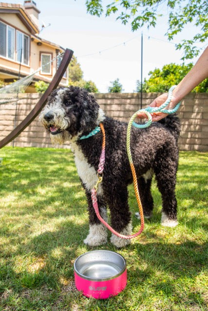 Rainbow Tie Dye Leash - Glow Pups