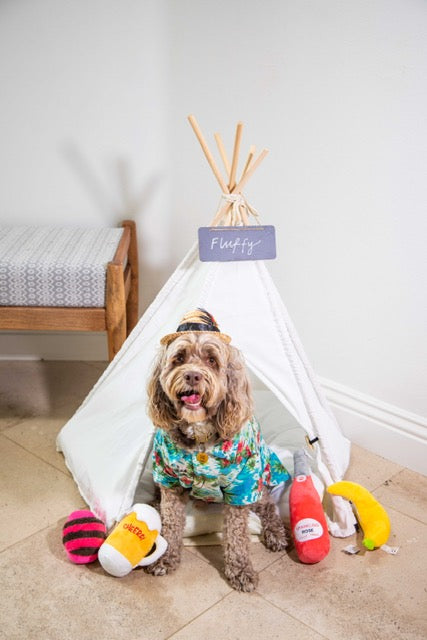 Let's sleep pet cave teepee hotsell