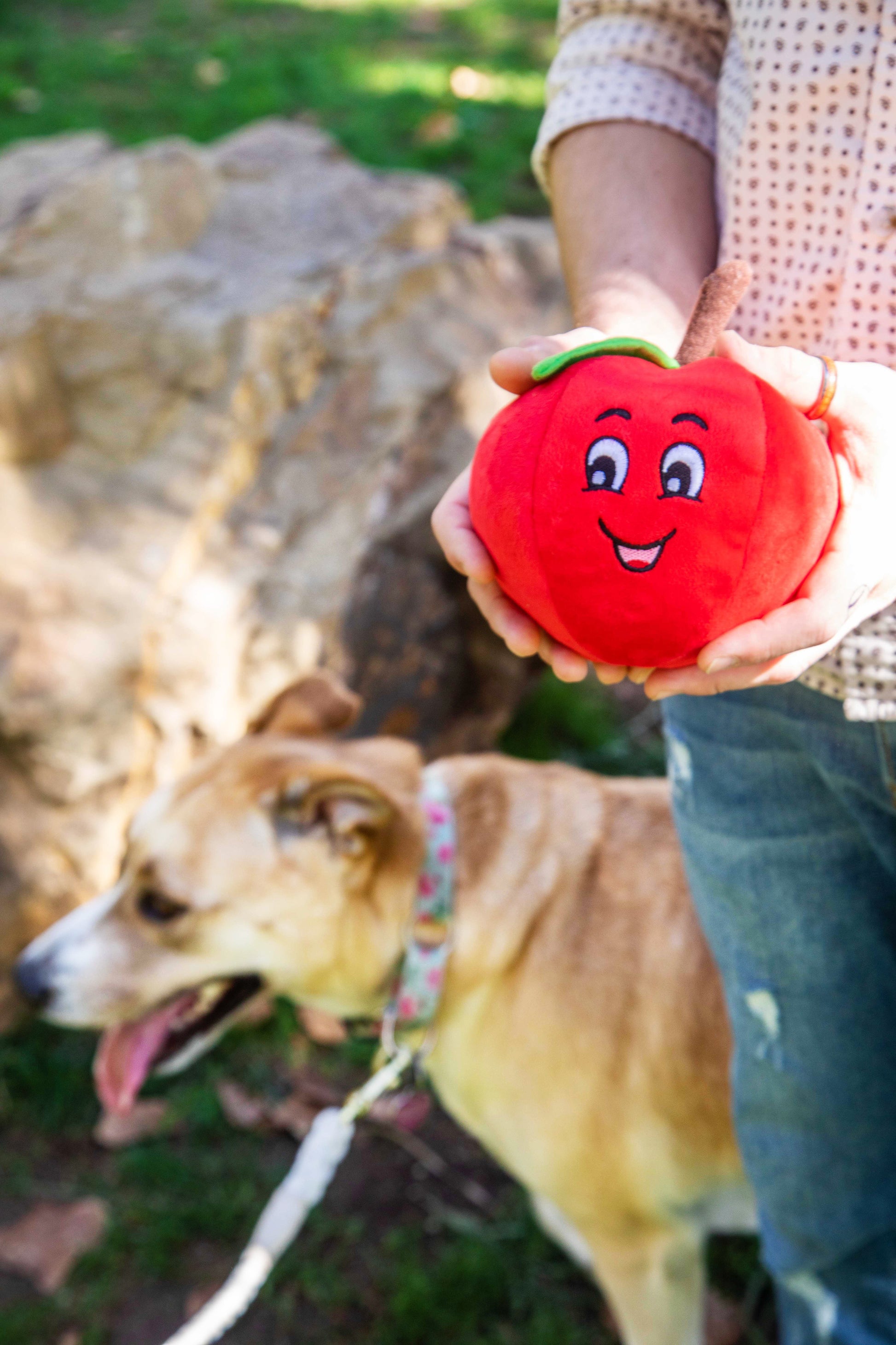 Tomato Plush Dog Toy with Squeaker - Glow Pups