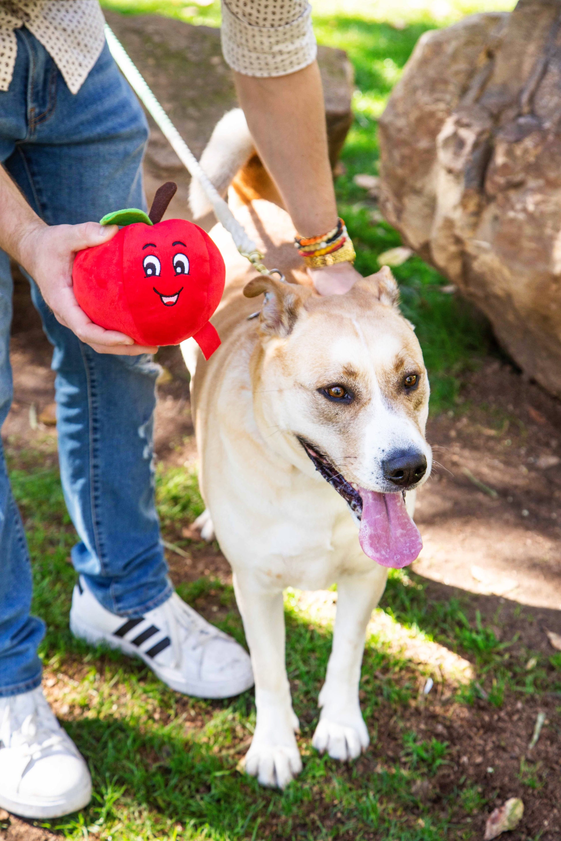 Tomato Plush Dog Toy with Squeaker - Glow Pups