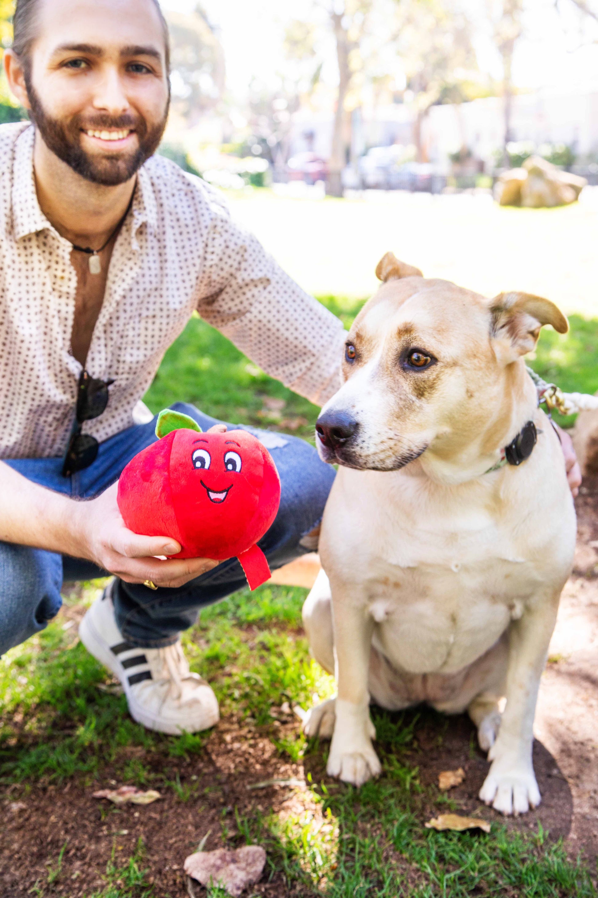Tomato Plush Dog Toy with Squeaker - Glow Pups