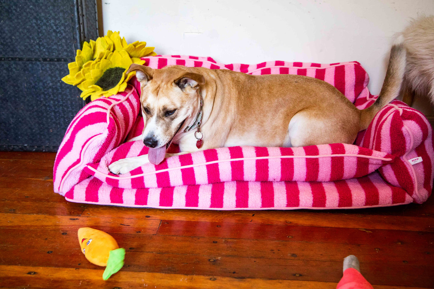 Pretty Pink Striped Dog Bed - Glow Pups