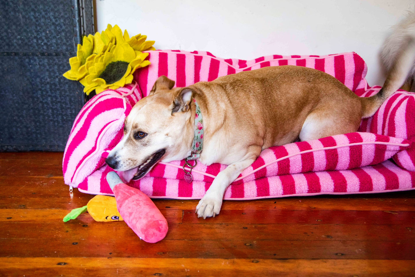 Pretty Pink Striped Dog Bed - Glow Pups