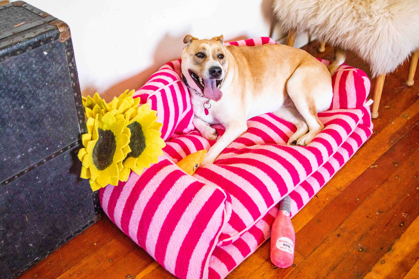 Pretty Pink Striped Dog Bed - Glow Pups