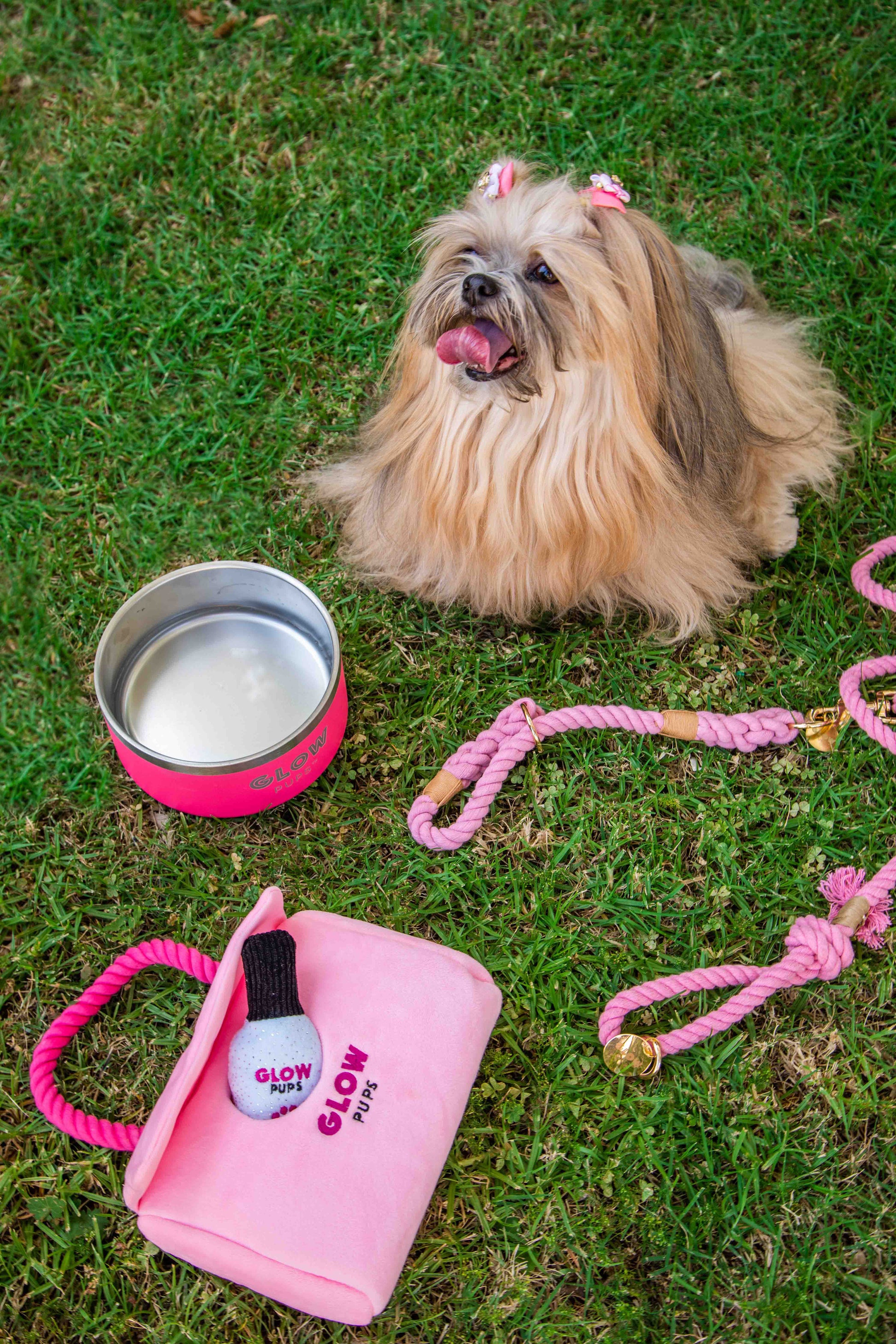 Plush Pink Hide-and-Seek Purse - Glow Pups