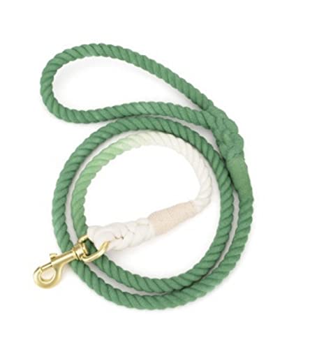 Green Ombre Boho Chic Dog Leash - Glow Pups