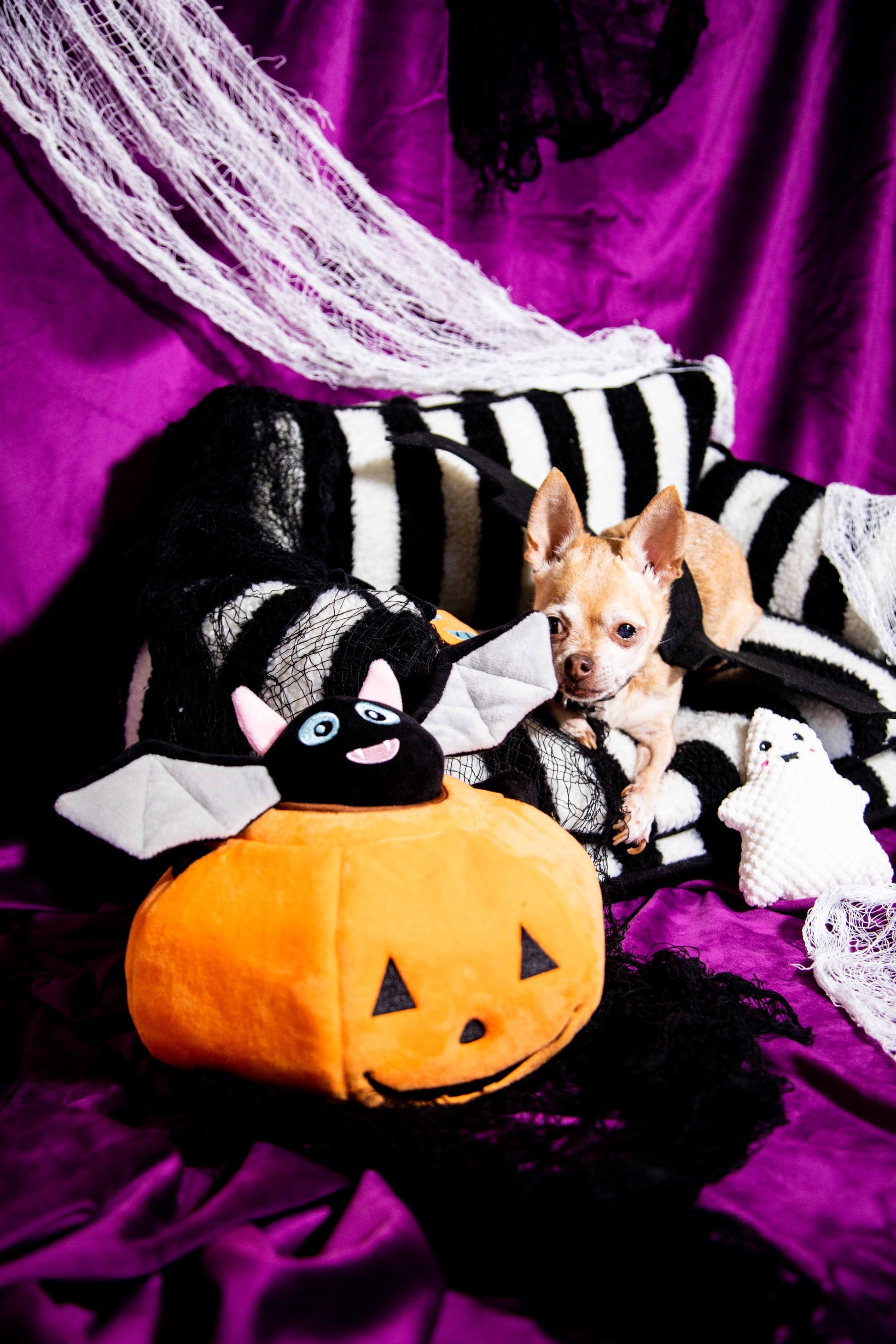 Chic Comfort Black and White Striped Sofa Dog Bed - Glow Pups