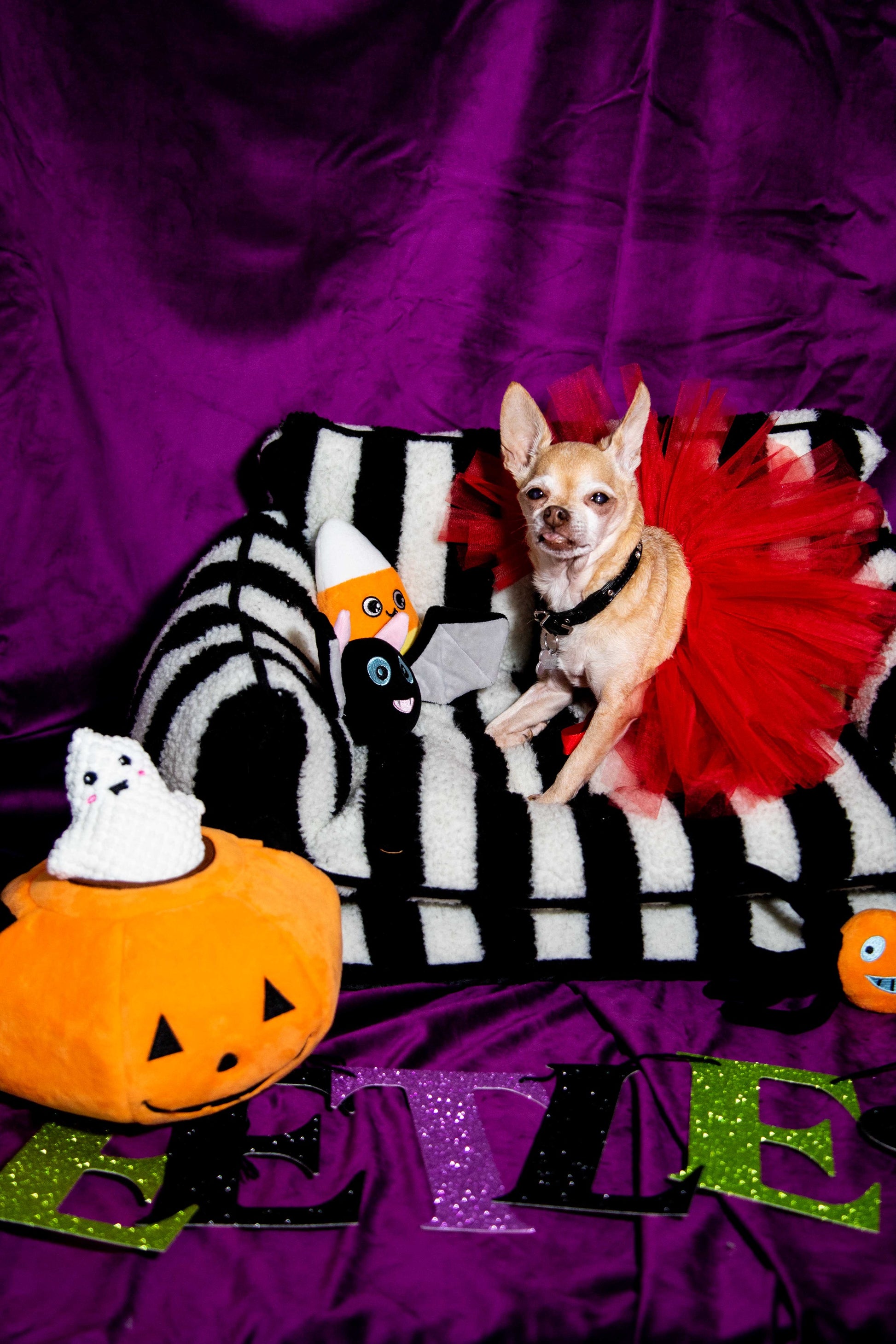 Chic Comfort Black and White Striped Sofa Dog Bed - Glow Pups