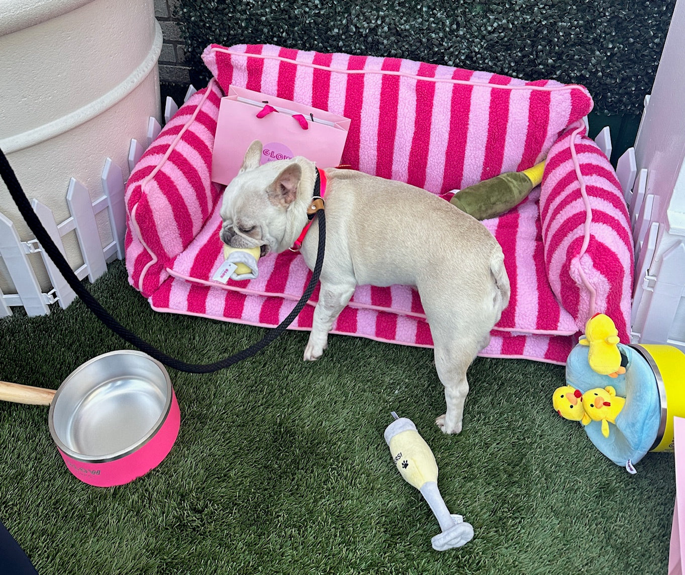 Pretty Pink Striped Dog Bed - Glow Pups