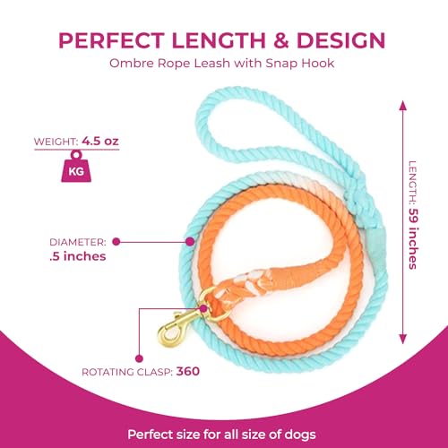 Sunset Wave Tie Dye Dog Leash - Glow Pups