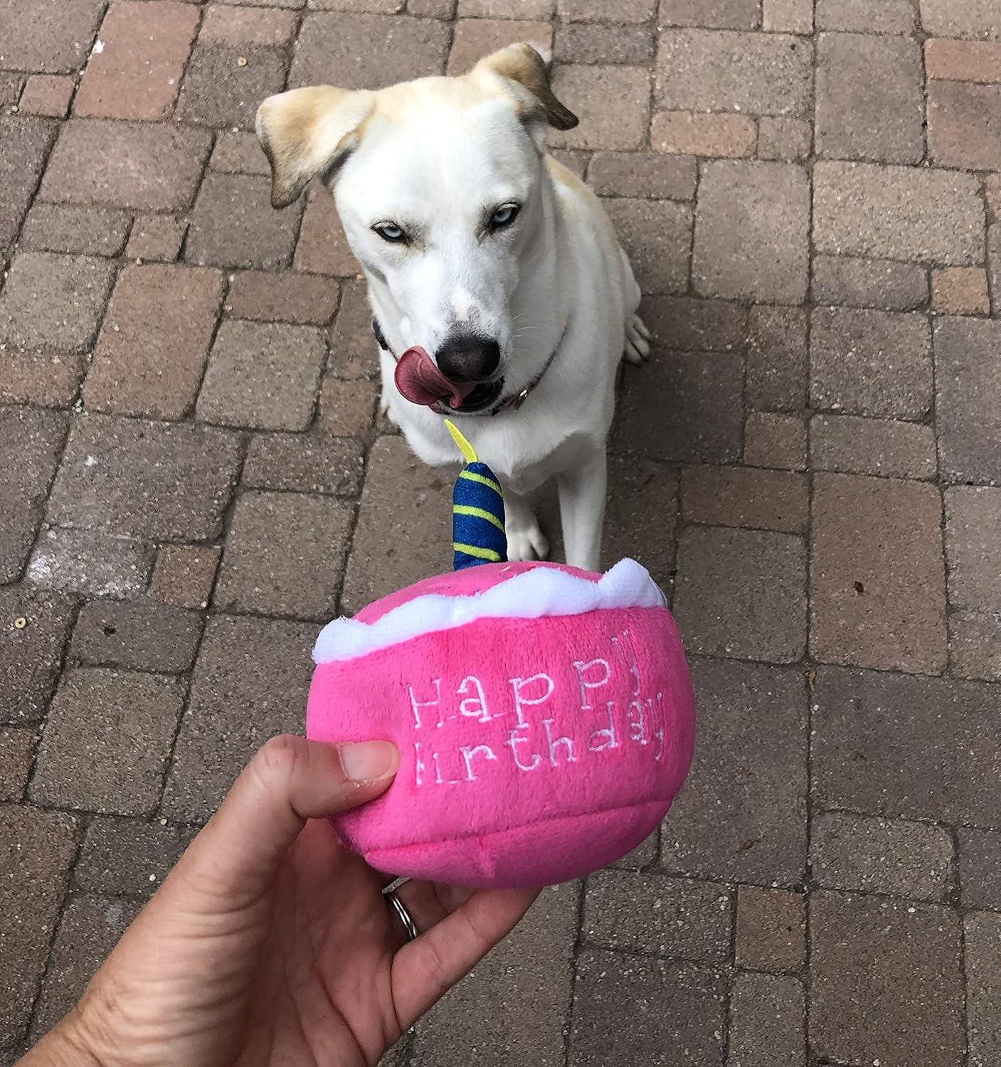 Squeaky Pink Birthday Cake Plush Dog Toy - Glow Pups