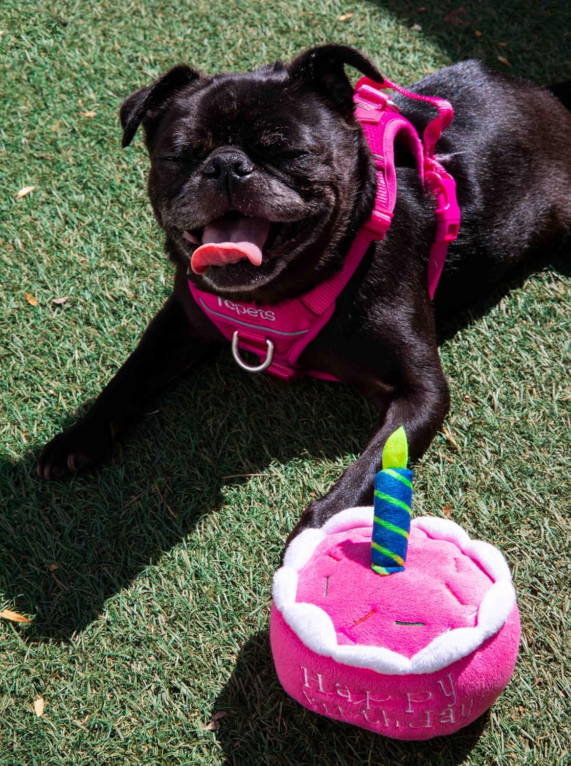 Squeaky Pink Birthday Cake Plush Dog Toy