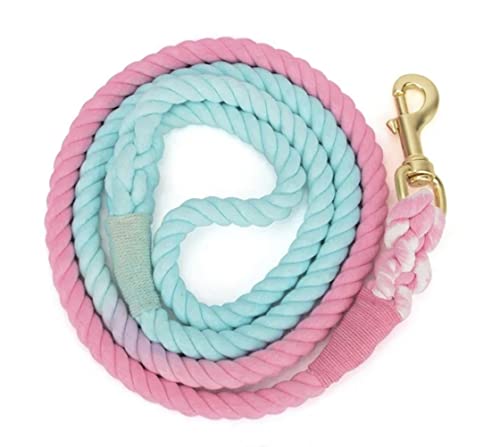 Pink and Blue Pastel Swirl Leash - Glow Pups