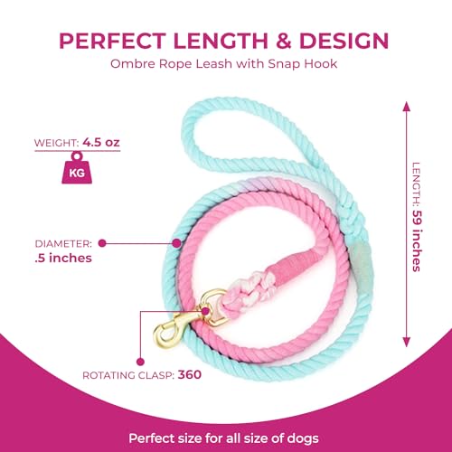 Pink and Blue Pastel Swirl Leash - Glow Pups