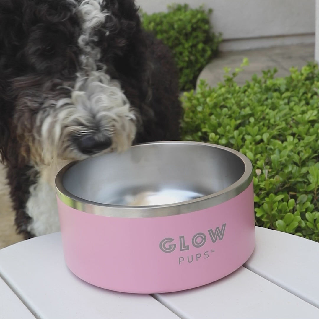 Glow Pups 32oz Insulated Stainless Steel Dog Bowl - Non-Slip, Keeps Water Cool, Turquoise