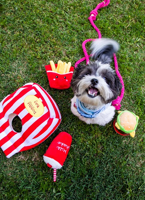 Doggy Bag with Fast Food Dog Toys - Glow Pups