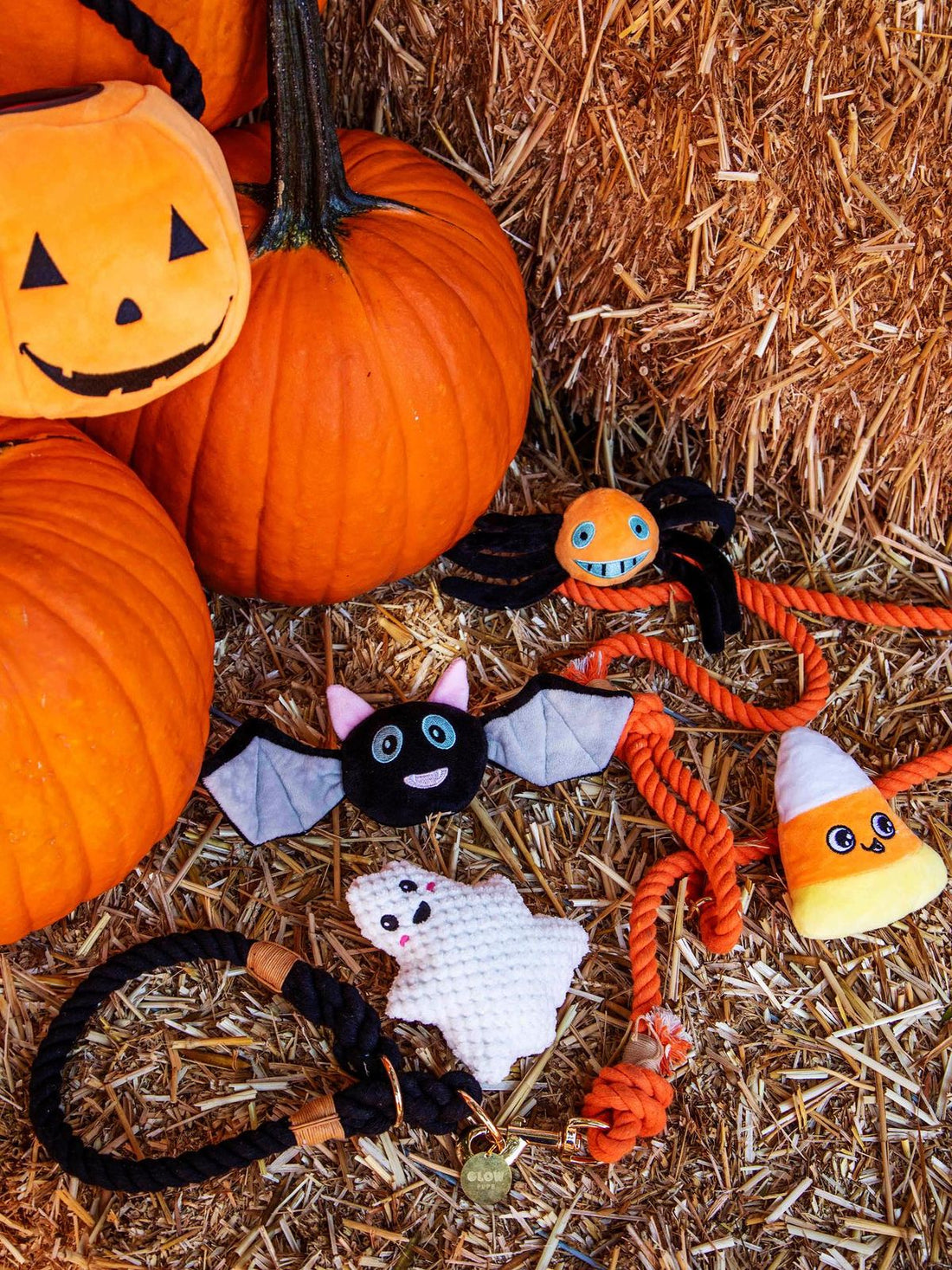 How to Treat Your Furry Best Friend This Halloween Season
