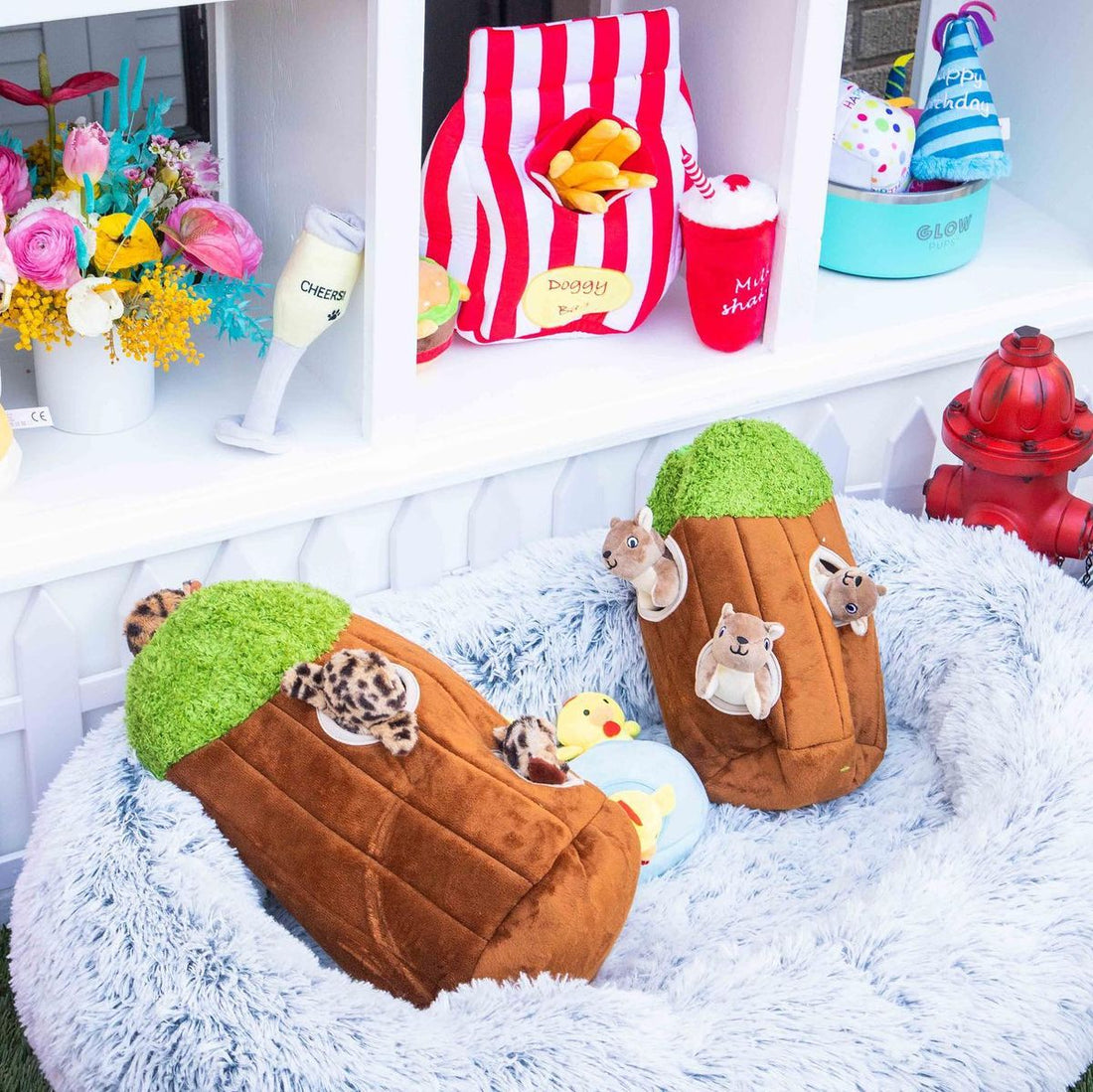 10 Must-Have Dog Accessories Every Pet Parent Needs in 2026