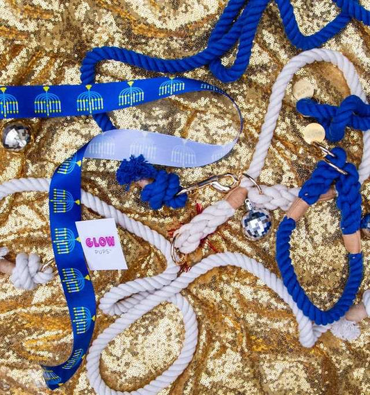 Is That the Right Leash? 5 Tips You Need to Know!