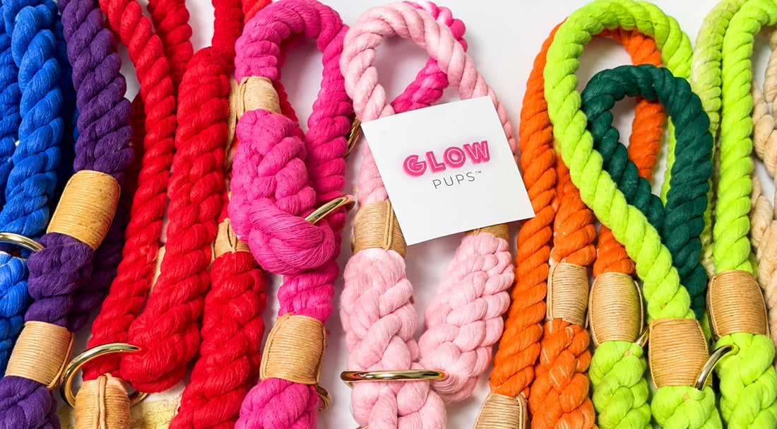The Ultimate Guide to Dog Rope Slip Collars: Style, Function, and Safety