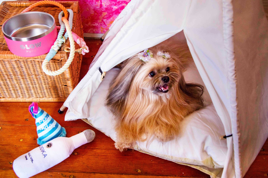 Pet Teepees - Adorable and Functional