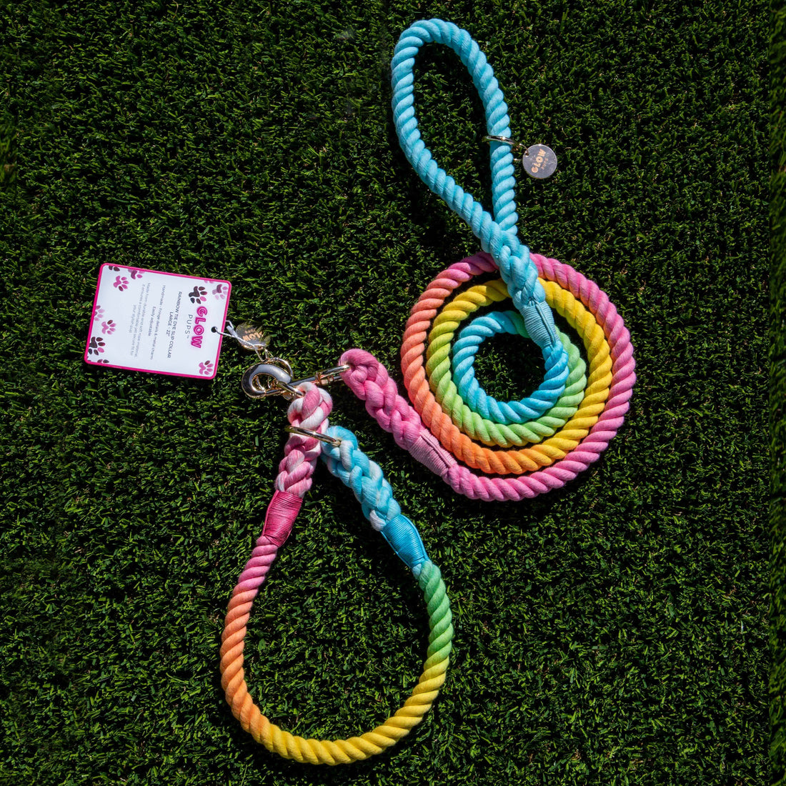 The Ultimate Guide to Choosing the Perfect Dog Collar and Leash for Your Pup