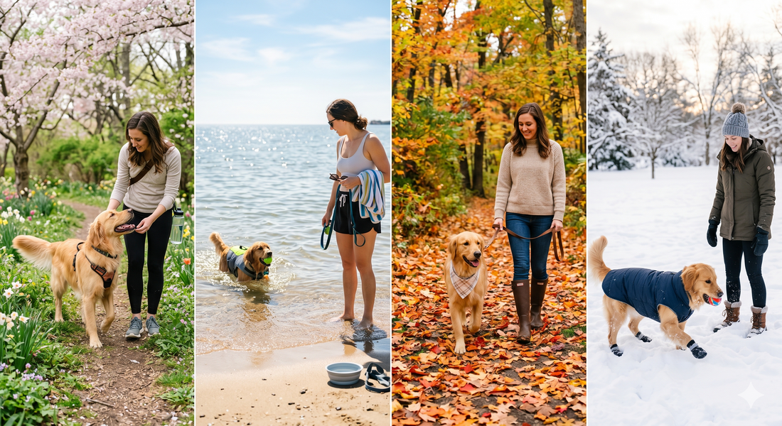 Seasonal Dog Care Tips for Every Weather